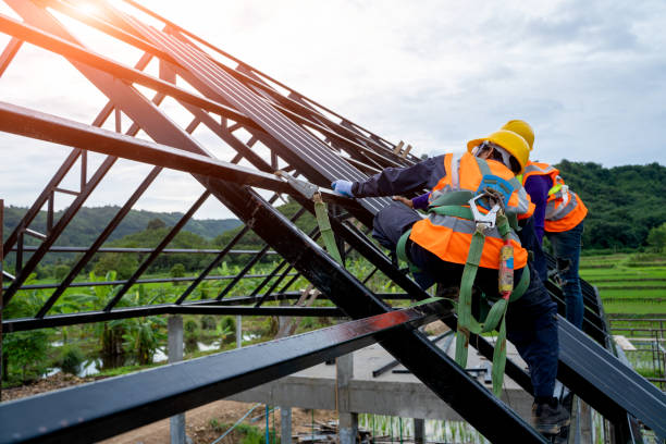 Best Emergency Roof Repair  in Webberville, MI