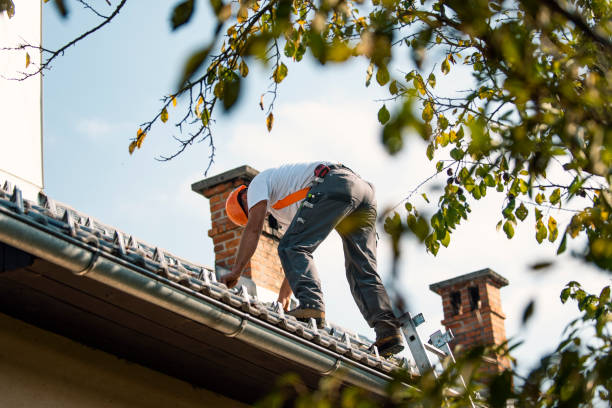 Quick and Trustworthy Emergency Roof Repair Services in Webberville, MI
