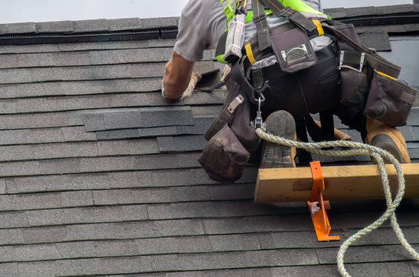 Best Storm Damage Roof Repair  in Webberville, MI