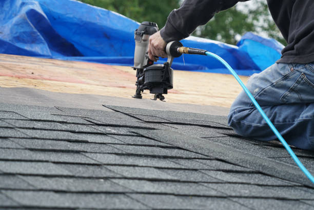 Best Roofing Contractor Near Me  in Webberville, MI