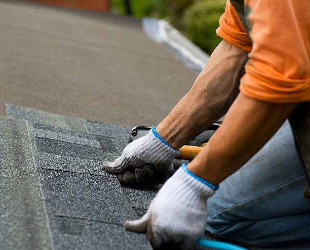 Best Commercial Roofing Services  in Webberville, MI