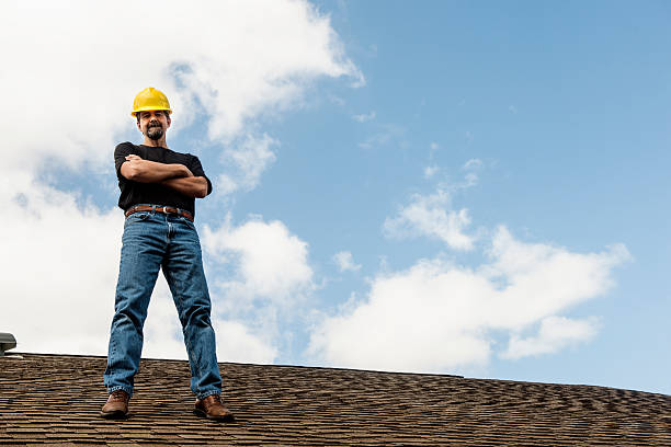 Best Metal Roofing Contractor  in Webberville, MI
