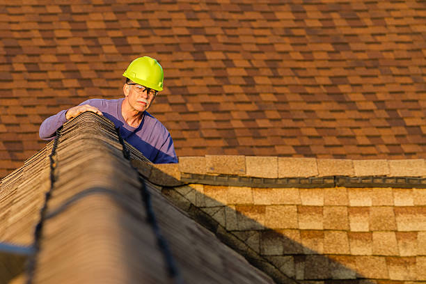 Best Residential Roofing Contractor  in Webberville, MI