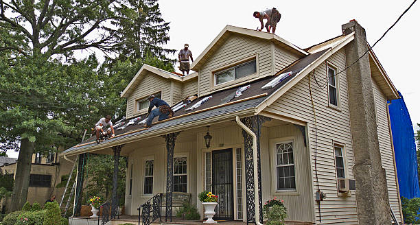 Best Best Roofing Contractors  in Webberville, MI