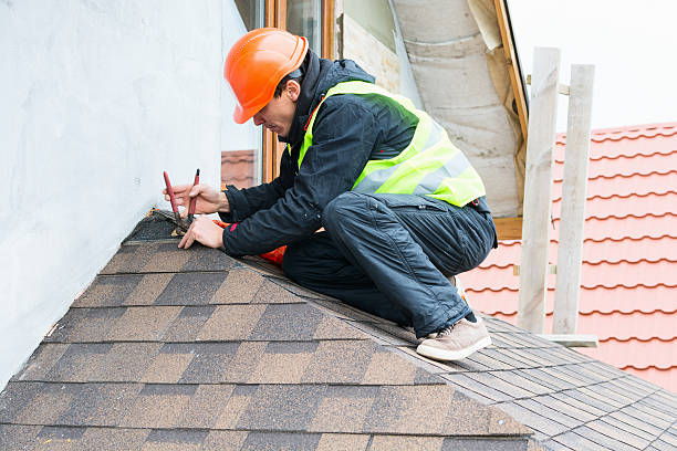 Best Flat Roof Repair Services  in Webberville, MI