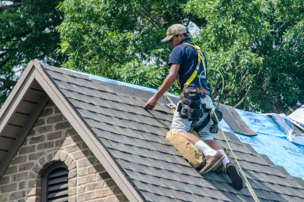 Best New Roof Installation  in Webberville, MI