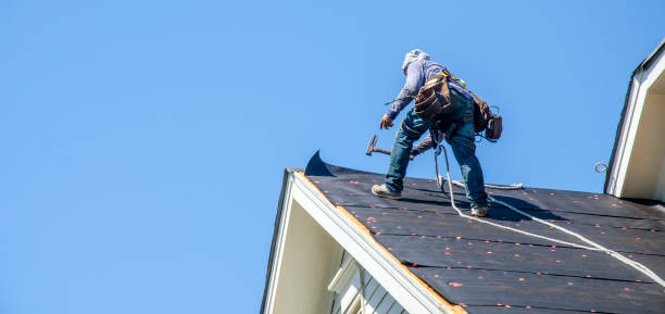 Best Shingle Roofing Installation  in Webberville, MI
